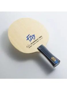 ALC Fan Zhendong