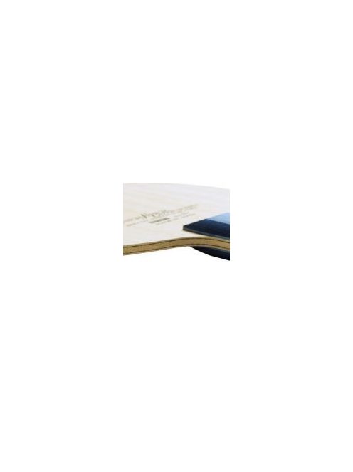 ALC Innerforce Layer