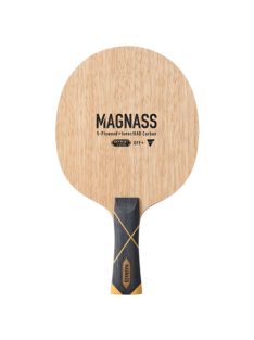 Magnass